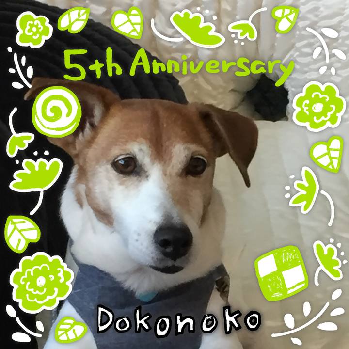 979dc988 f9bb 4561 985b 624d3361bc36 1622861760727