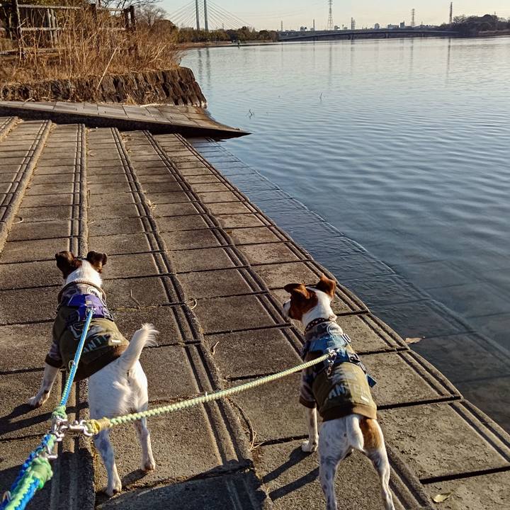 979eab18 8169 4073 b0a5 710675f0da03 1641628243437