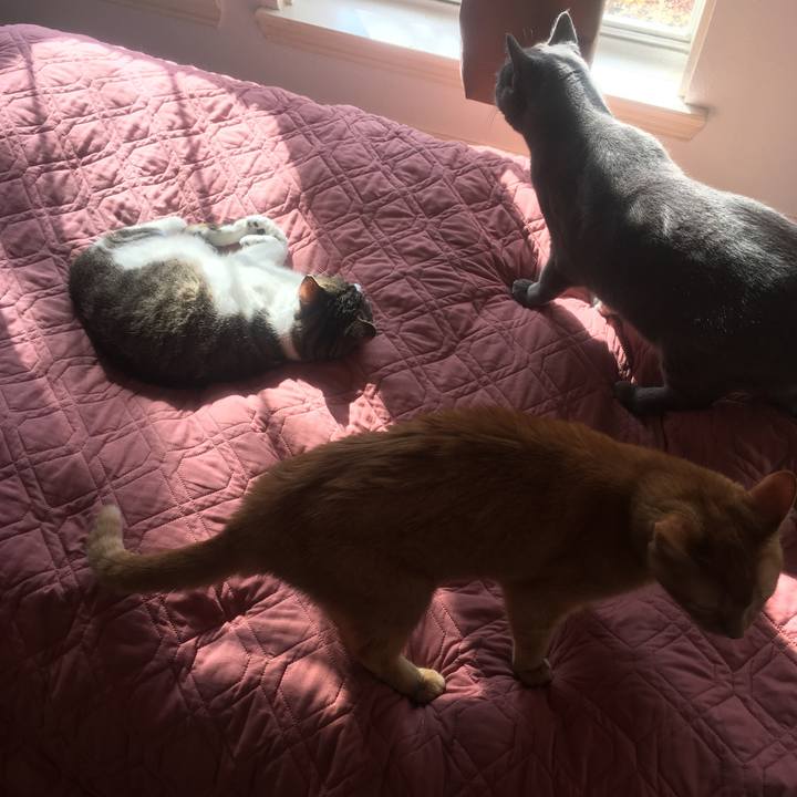 979ebde3 ebd9 4171 a880 4438dbeba151 1650837118229