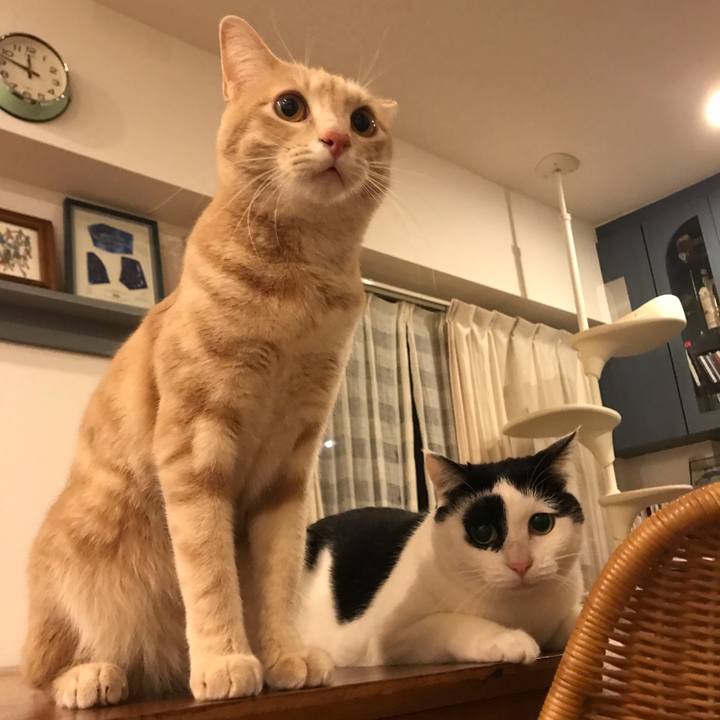 979ef50b 1bd9 4a76 abf6 12dfd4603255 1580656379432