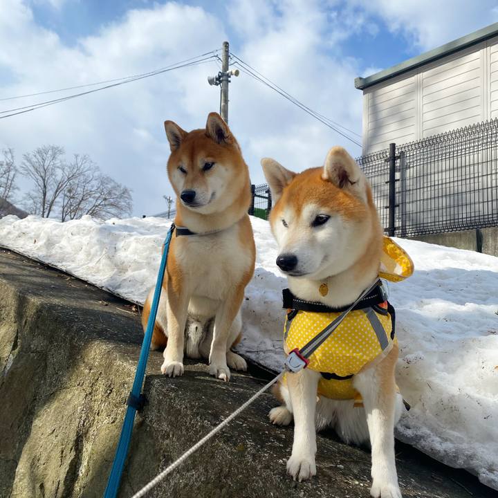 979f01f2 baa1 4fdf 98ff 902e55cc2cab 1616462541290