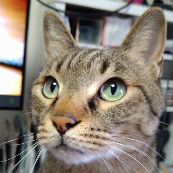 979f039f 527c 4bb5 bd8c f56b60c325fd 1679845910690