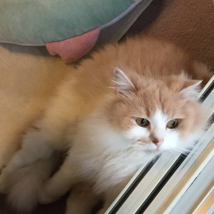 979f7e24 39e8 4f70 82a3 c9f3223bf66d 1532437568198