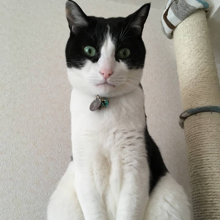 979f8682 9333 4e6e 9d8f ce7cfa7952a0 1512173100271