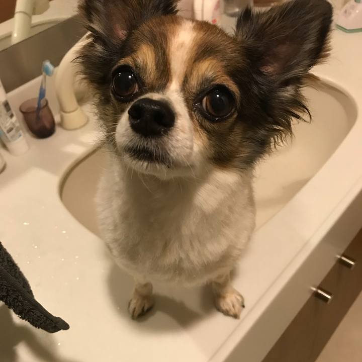 979faaf5 3f91 4a57 976c de980832631f 1535584821512