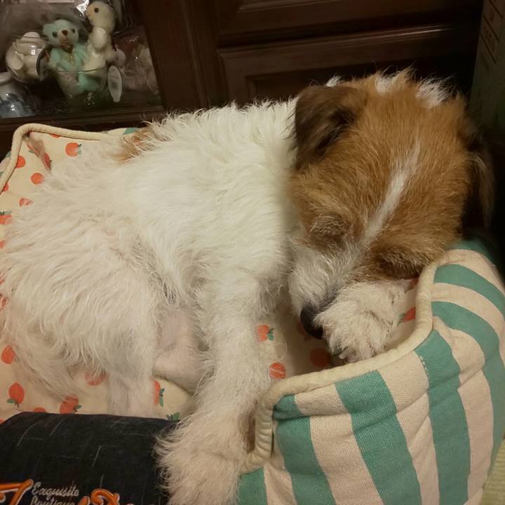 979fcdee b53c 4c91 a8c4 9c8c52b95abd 1627392685479