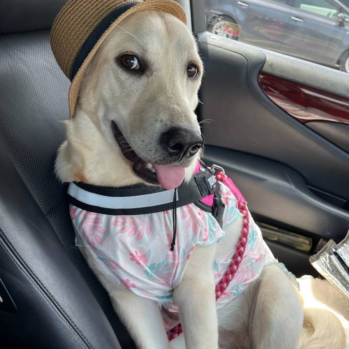 979fde32 a3d6 457d b3c0 567ecd72c8e9 1624241295062