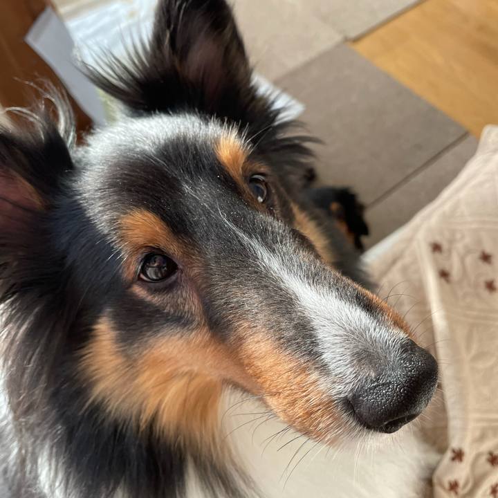 97a01d64 5a62 4298 b108 b30a0cc68513 1614033560061