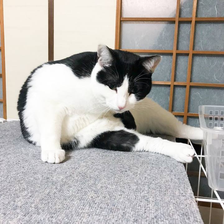 97a0270d a626 49a7 adb0 875ae8c4bc16 1519606231126