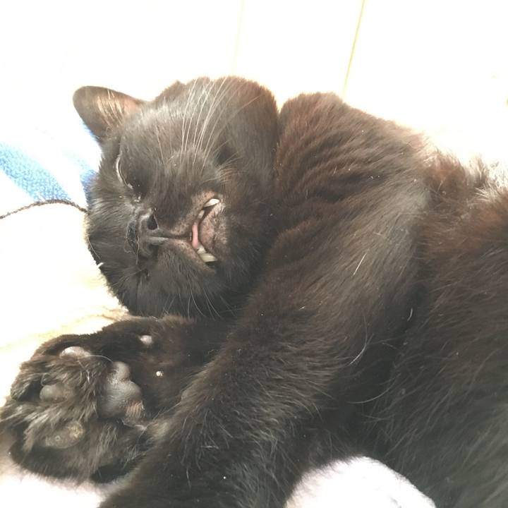 97a02ea7 933c 498b 89d1 bd0413f2818d 1537331586114