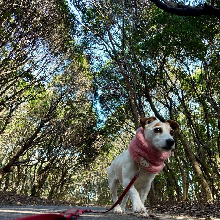 97a032f2 32c8 4bb2 ad55 db9f75623db9 1772539194358