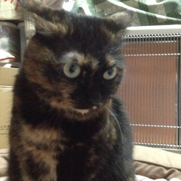 97a0331c 0d01 472c 8312 7298a2841967 1515497739047