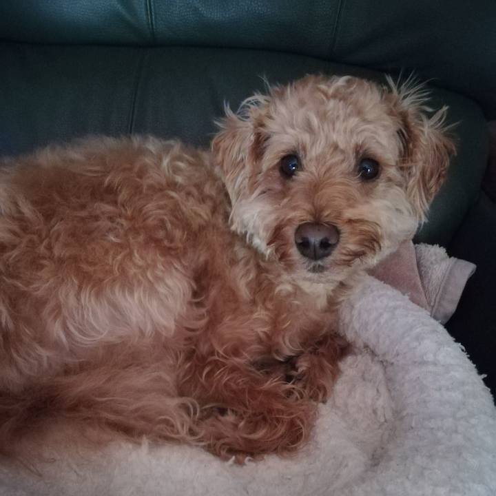 97a046a2 aefd 4dc6 b57e 4bd84eeb45e9 1561070538384