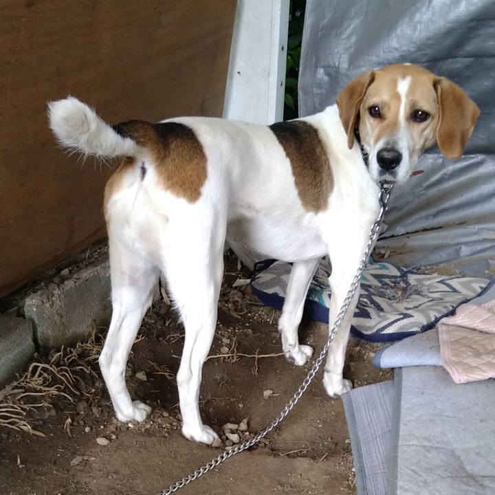 97a051cf 4143 4d20 9f7b 64fed10c691f 1622119523470