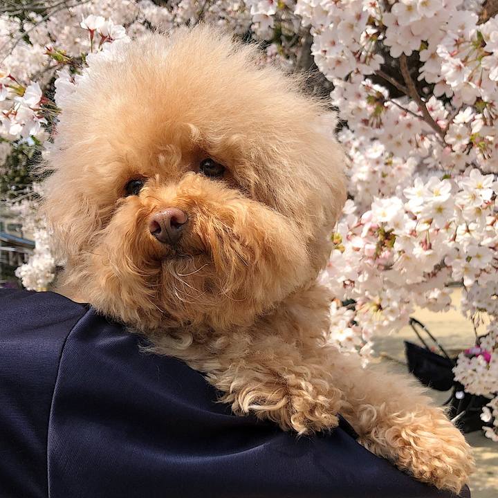 97a05d79 ab8e 4e17 85fd 89927a366b8a 1554980378354