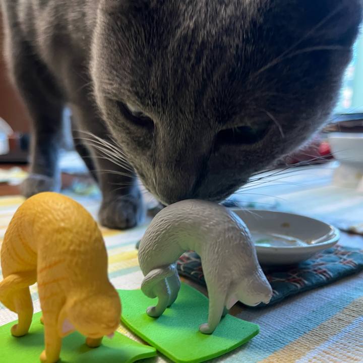 97a06a0b 3ba7 4bb4 a98d 6da6fa1f87c8 1689062831995