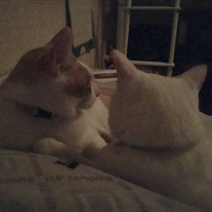 97a08180 b50a 4470 ae8a af5eb129c5d7 1528992909276