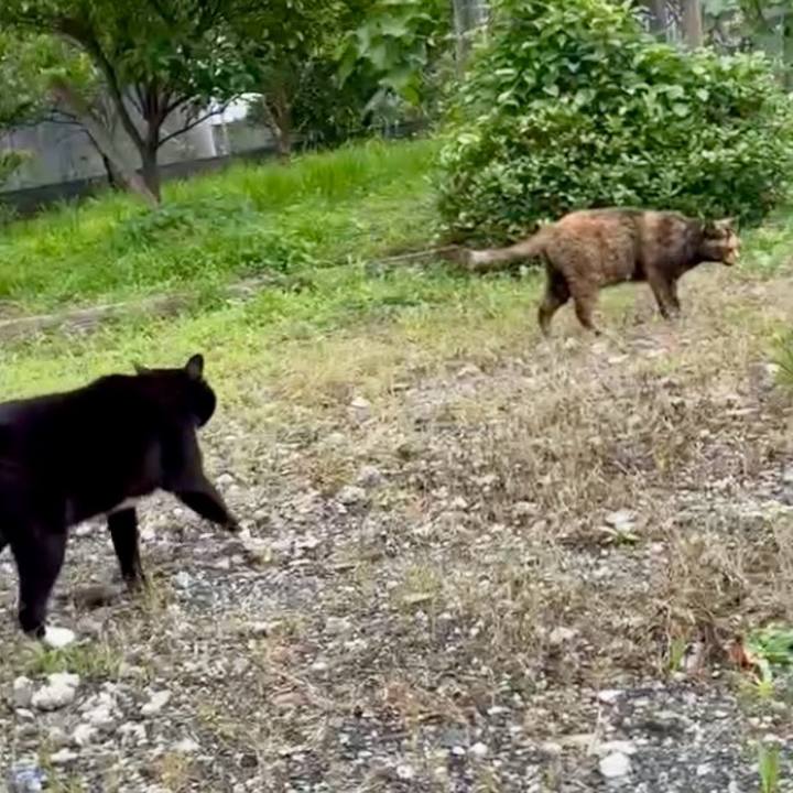 97a08b30 0efd 4415 a696 f17ade5a0079 1750593245719