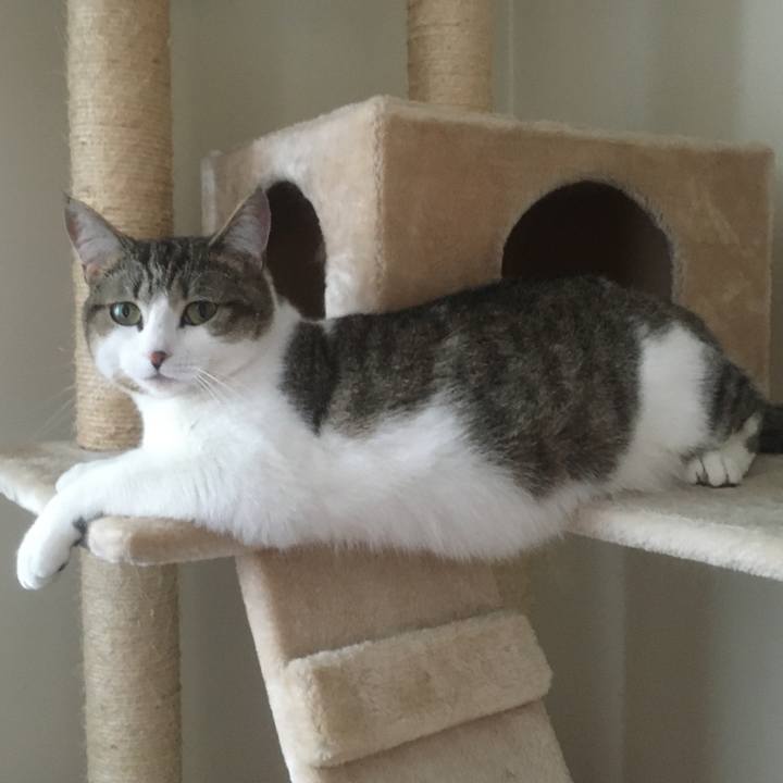 97a0a8b3 718b 453a a0ed 9a0faec7a4f6 1617921114343