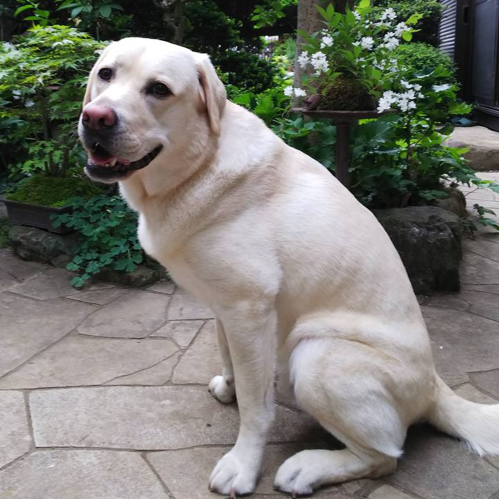 97a0be53 9d56 4929 afb2 db5a9c8653a8 1524482167566