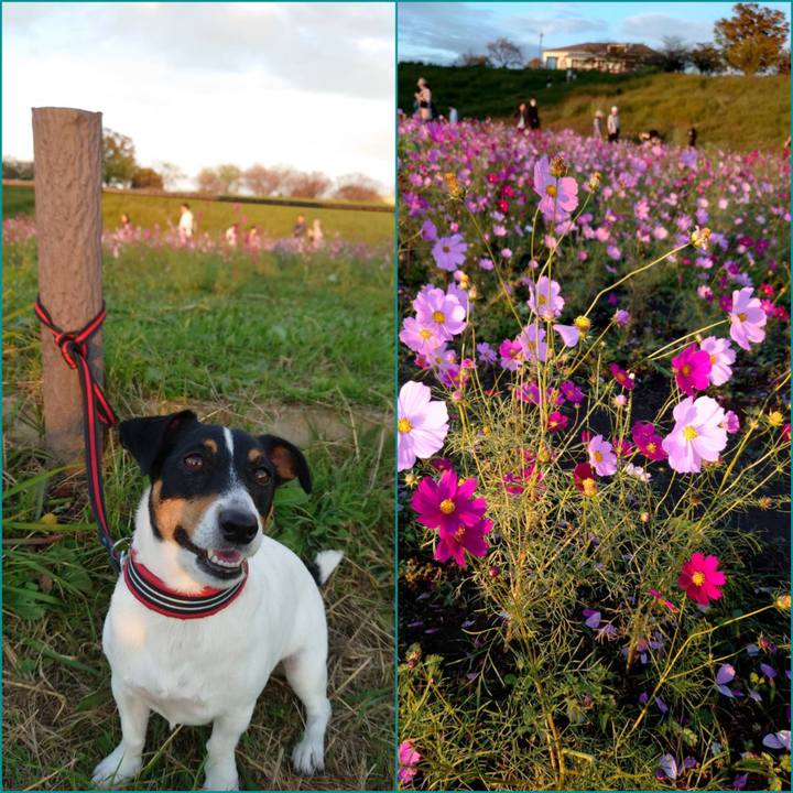 97a0ca9e 7fbd 474b b5b0 acdb329c2ede 1698582673240