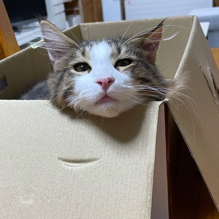 97a0e602 1fc0 4ecb b0b3 96b05fbeda5e 1638615306806