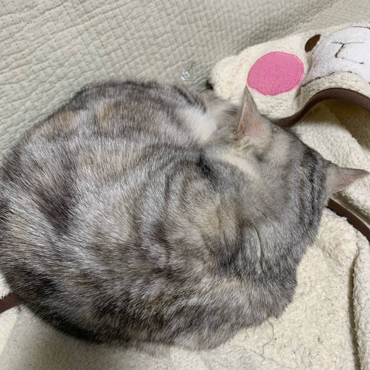 97a11552 4edc 4ce6 b54d 4bb403fd96c4 1710415620209