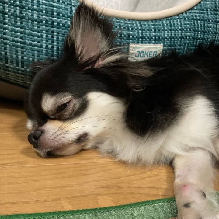 97a12e28 f9e4 4159 b176 0b7b5aa824e8 1659842354718