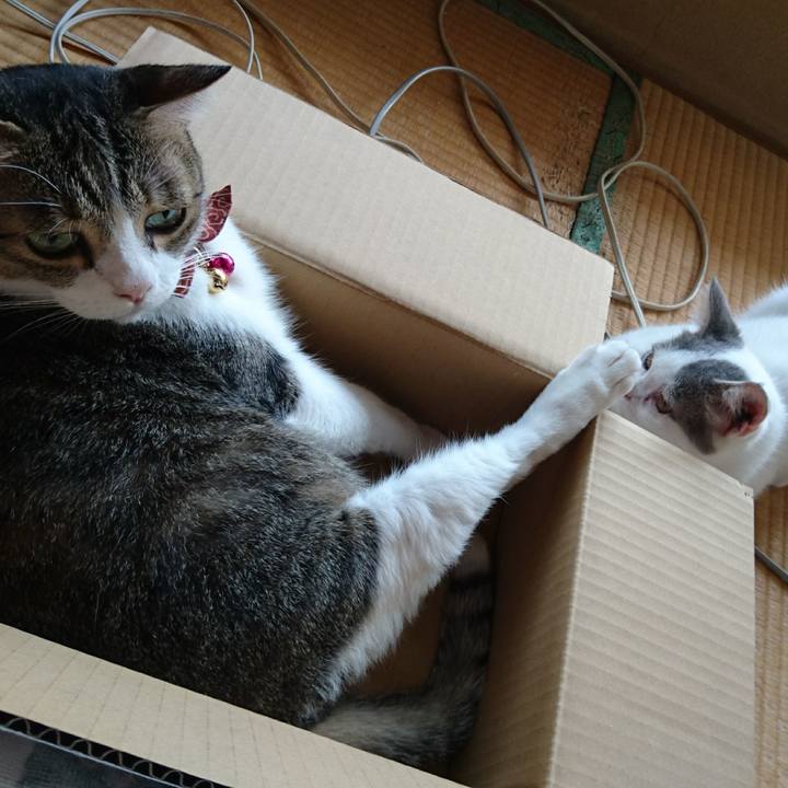 97a1313d f407 4566 9f42 d5822fc1b5ba 1534713273560