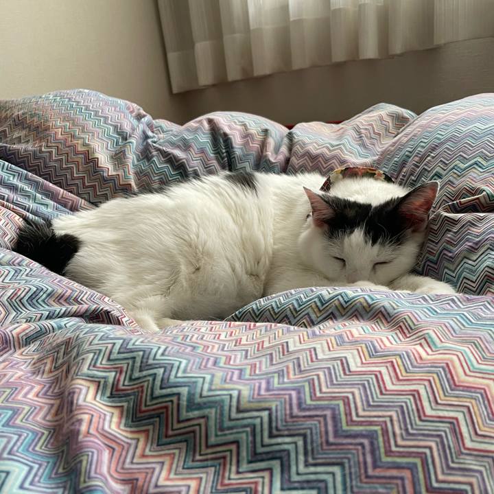 97a14f48 36be 444c 9d8d 3485d8ad16e9 1635119386942