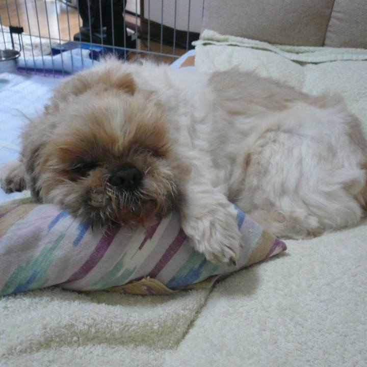 97a1a49f 5bc2 41b7 9958 e24dba7ad012 1530529733939