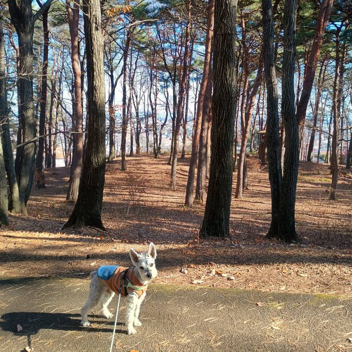 97a1b87b d2f6 4187 9e9b 6c8295d74b97 1766150959603