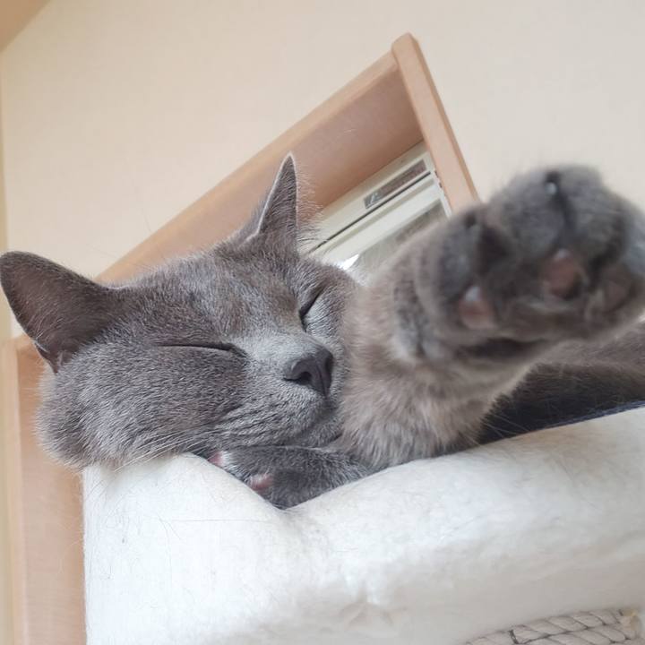 97a20a78 9ebd 4acc 85bf 865dc5b98f75 1563252099459