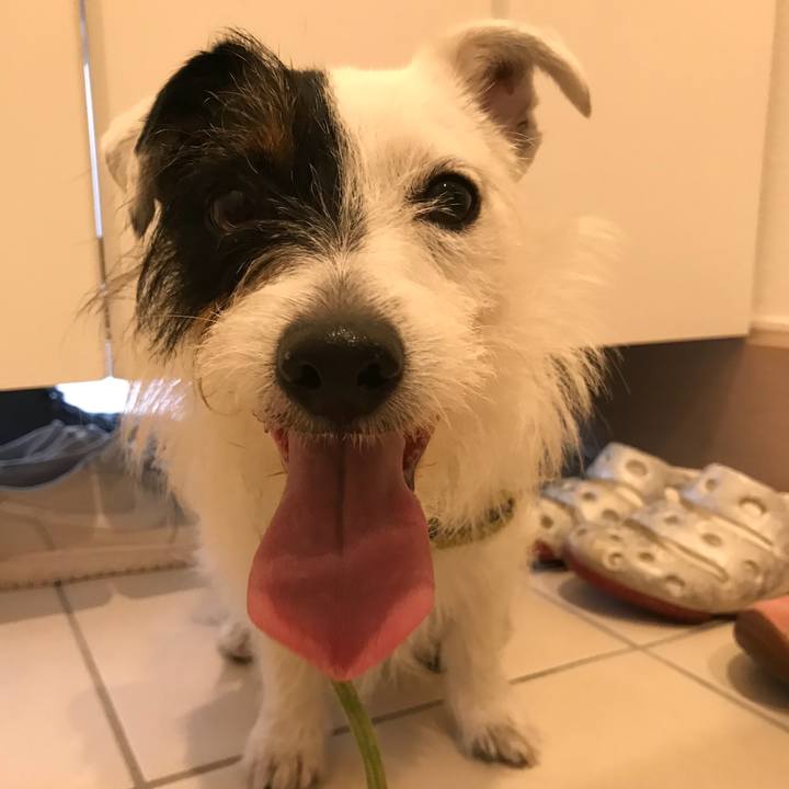 97a2431d 0e43 4ca2 9449 f848e0653291 1527584561359