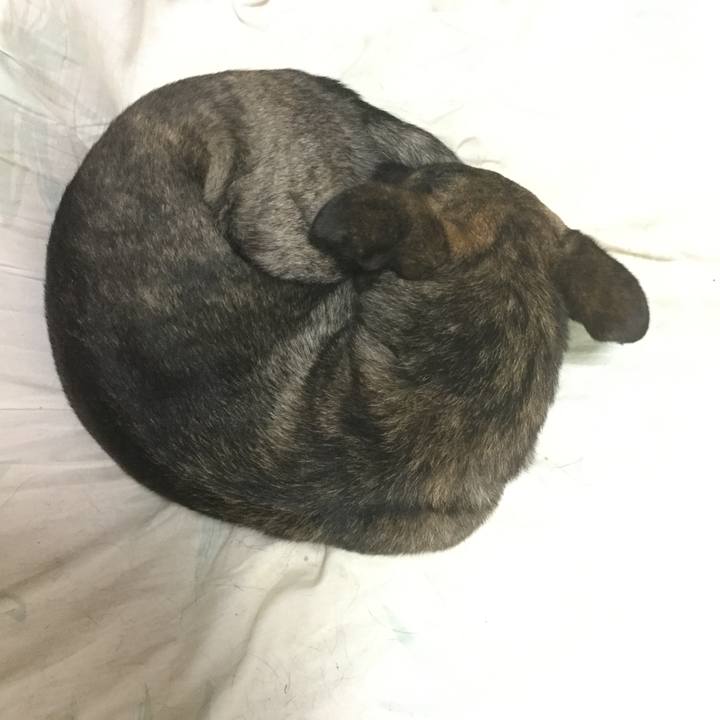 97a2a8e5 482b 4f58 a101 34fd43fa3209 1608736426797