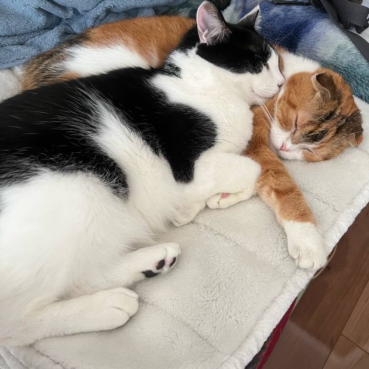 97a2a9cb e8b8 4bd7 801c 6dc9bf11ca7a 1670115270007