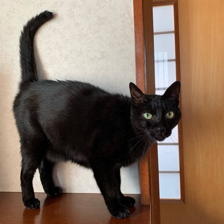 97a30e89 e339 4ddd 98f0 ab46c31a6c8d 1601775339243