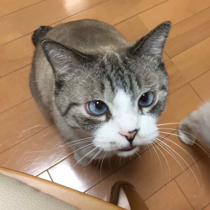 97a3209a 6323 4464 9c89 24046cb9d11f 1507974046888