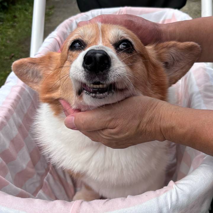 97a33916 5471 40eb b179 63acee2d9308 1749954127031