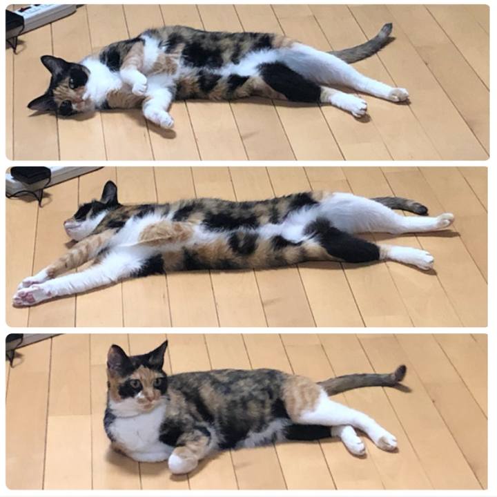 97a34c27 f004 4281 ab0d 6ee4dd1343c9 1566217959478