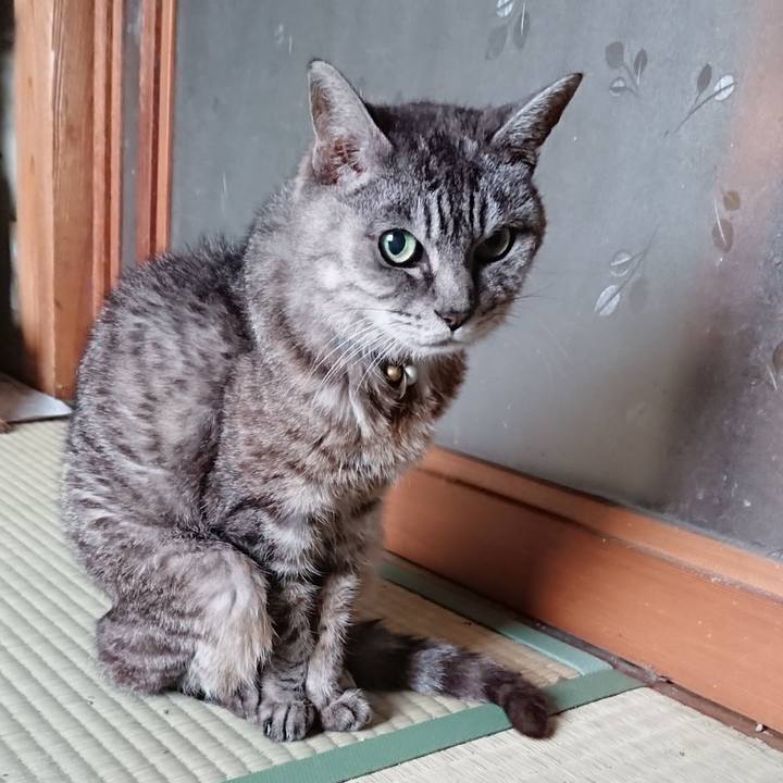 97a37d13 e654 4be0 b1a2 2353f16e8ee0 1569804999882