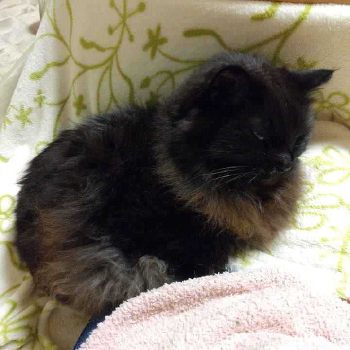 97a390ae d4bd 4f70 b1c8 e85bfe8e25bb 1640080485829