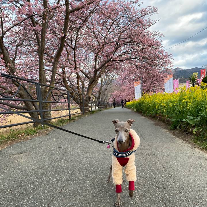 97a3b506 8dc3 4966 96f3 6cf4e14eb5bf 1771467095050