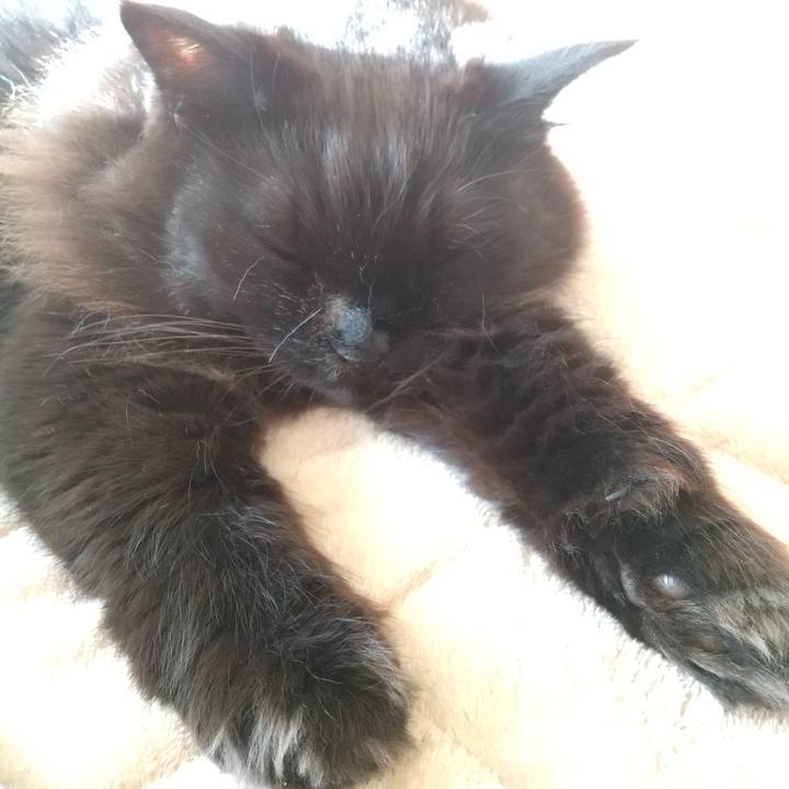 97a3c2d0 d0a5 48b6 8d89 f38ebcbdf33e 1640828018923