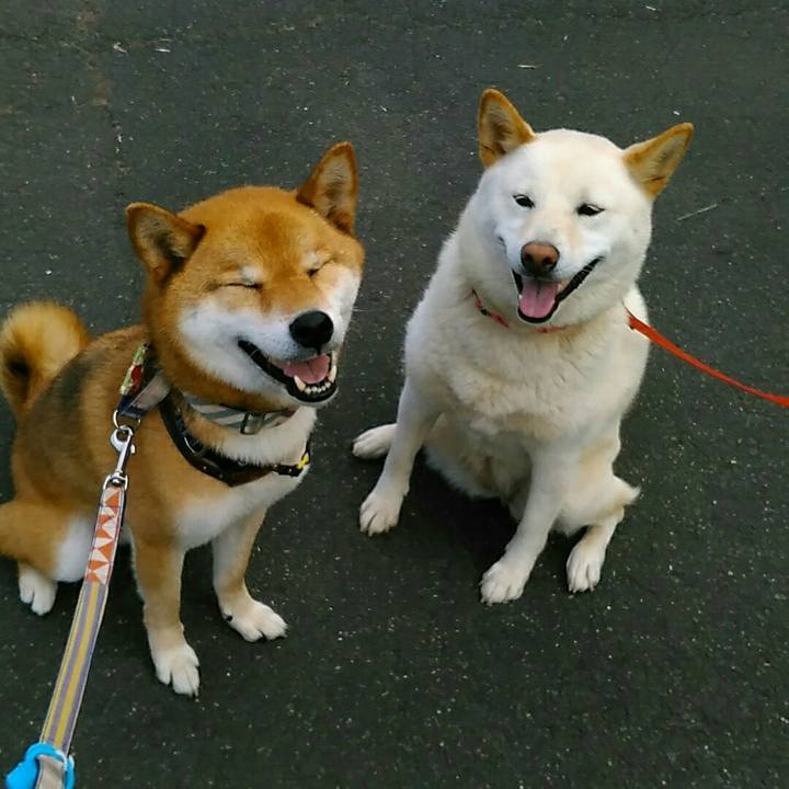 97a3c5e3 1b1a 420a b4aa b74dd62fbc15 1562744086189