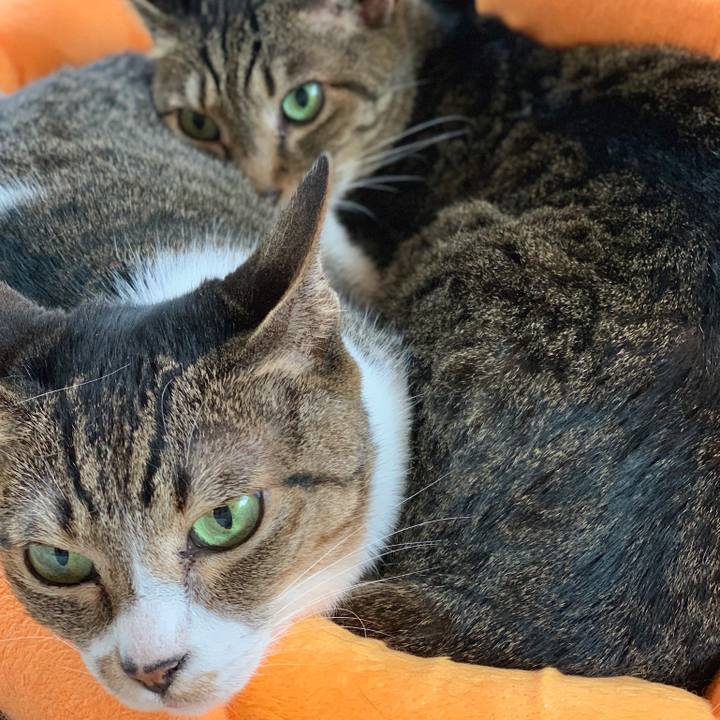 97a3c853 368c 4563 929c 4ec03f12abb9 1562720170740