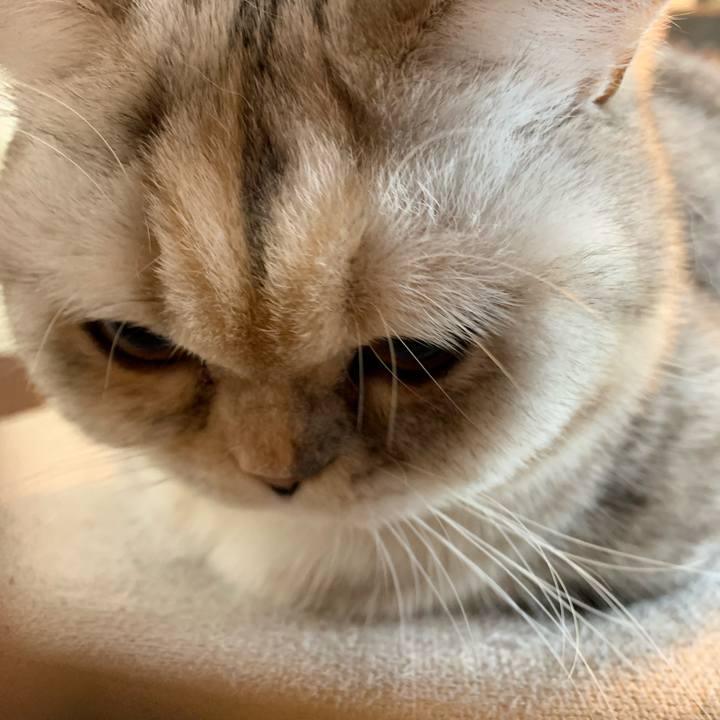 97a3fcca bba8 4f91 9891 0948ed52a701 1708822327272