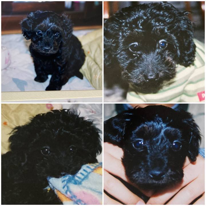 97a42beb dfde 4b03 8eb3 67e3aa720f89 1764024849912