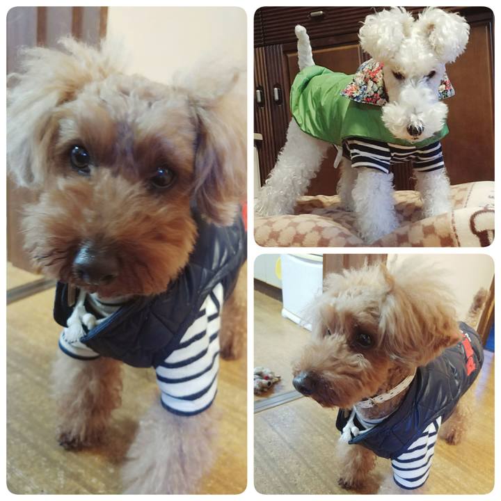 97a4443f c864 4ec5 a35c d8c00f163597 1512426920310