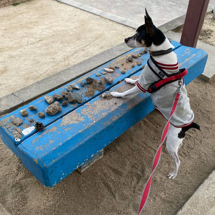 97a462b8 b3ea 43a7 a7cc 60c0c8ed70b9 1573164703417